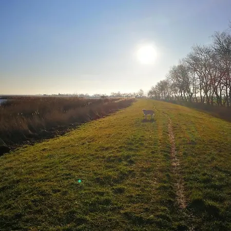 Apartman Rosenblick *